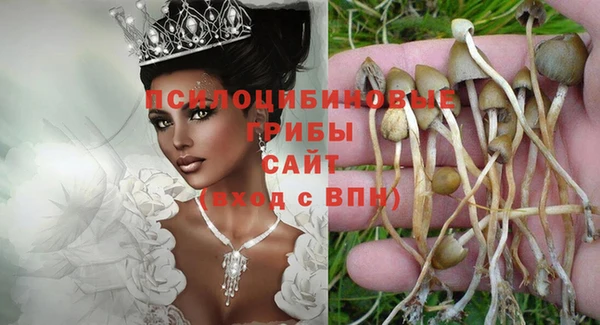 MESCALINE Белокуриха