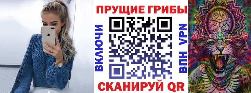 где купить   MEGA как войти  Псилоцибиновые грибы Psilocybine cubensis  Кувандык 